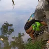 kelorsaid