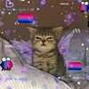 tadeo_18372
