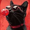 blackcat_saudi
