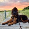 helo_gsd