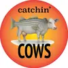 catchincows