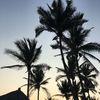 diazbruno25