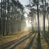 marcin360360