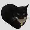 itz_cutiecat