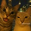 helloprenny1