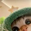 zahra.haid0