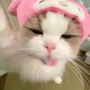 cupiid_m3li21