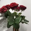 magheribina02