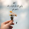 faiza07176