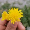 pakhrinjangmu1