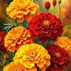 md.salam0169
