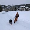 sarahnicholson156
