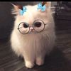 melly_anja