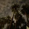 s_tar87