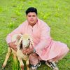 sahiljani511