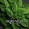 moriga.powder.for