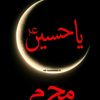 313_naz