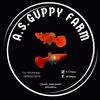 a.s.guppy21
