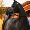 anouar878787
