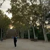 damasco_sophia