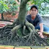 ngocnhanphung
