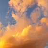 oleu_sut_avalon