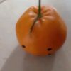 albertogamez_