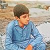 muhammadshahmeer238