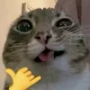 radenfatth