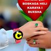 dhashidarwish