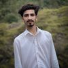 ayansardar_7