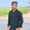 shahin80521
