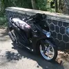 rexona611