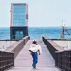 hanhchinheasewithin_
