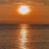 eleonorakola281