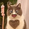 ggg_7461