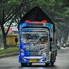 edolapindotrans