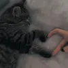 smoki.z_papieru._