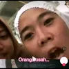 albarr_008