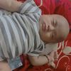 cendrawasih_