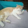 linamiranda_11