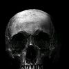 user4110504046760