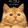 nachobautista27