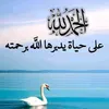 user7161033351371