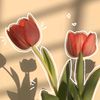dyn_dwm