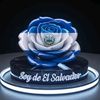 godofredoayala63