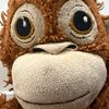 mistermonke2