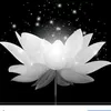userraa85xjfwb