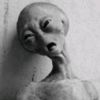 user7dtholchoa