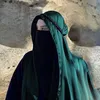 alnumruqa